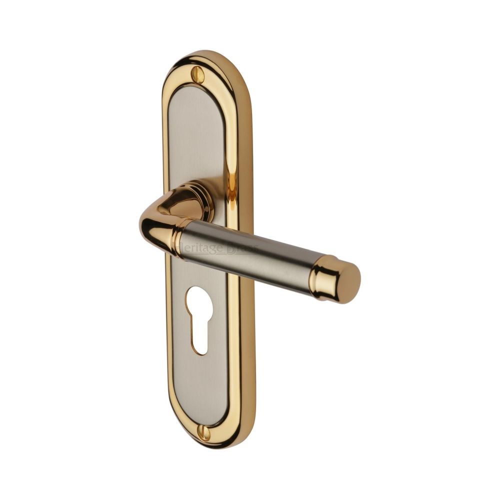 This is an image of a Heritage Brass - Door Handle for Euro Profile Plate Saturn Design Jupiter Finish, sat1048-jp that is available to order from T.H Wiggans Ironmongery in Kendal.