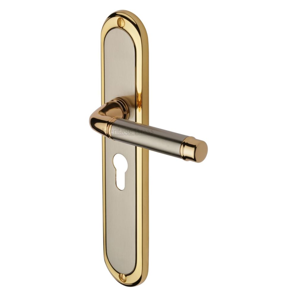 This is an image of a Heritage Brass - Door Handle for Euro Profile Plate Saturn Long Design Jupiter F, sat2048-jp that is available to order from T.H Wiggans Ironmongery in Kendal.