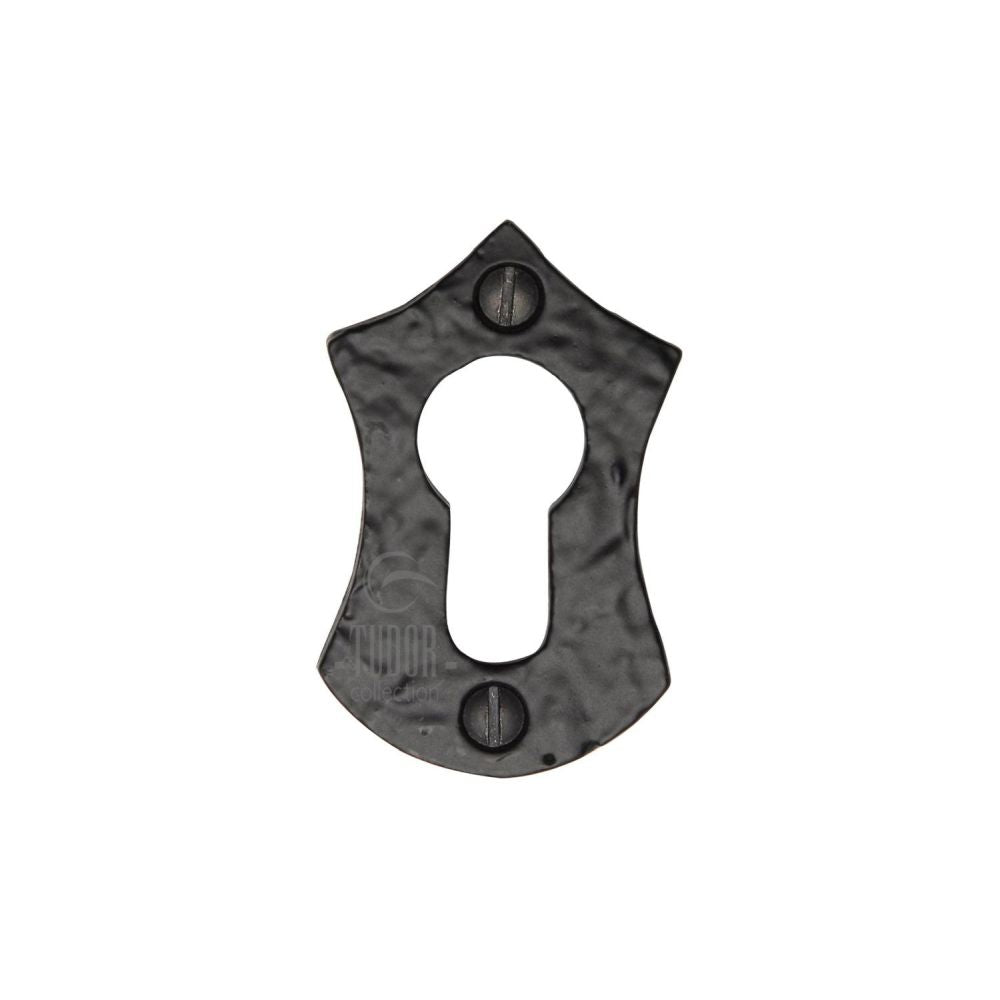 This is an image of a The Tudor Collection - Euro Profile Cylinder Escutcheon Black Iron, tc547 that is available to order from T.H Wiggans Ironmongery in Kendal.