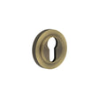 This is an image showing the Frelan - Burlington Euro Profile Escutcheons Knurled Rose Antique Brass available to order from T.H. Wiggans Ironmongery in Kendal