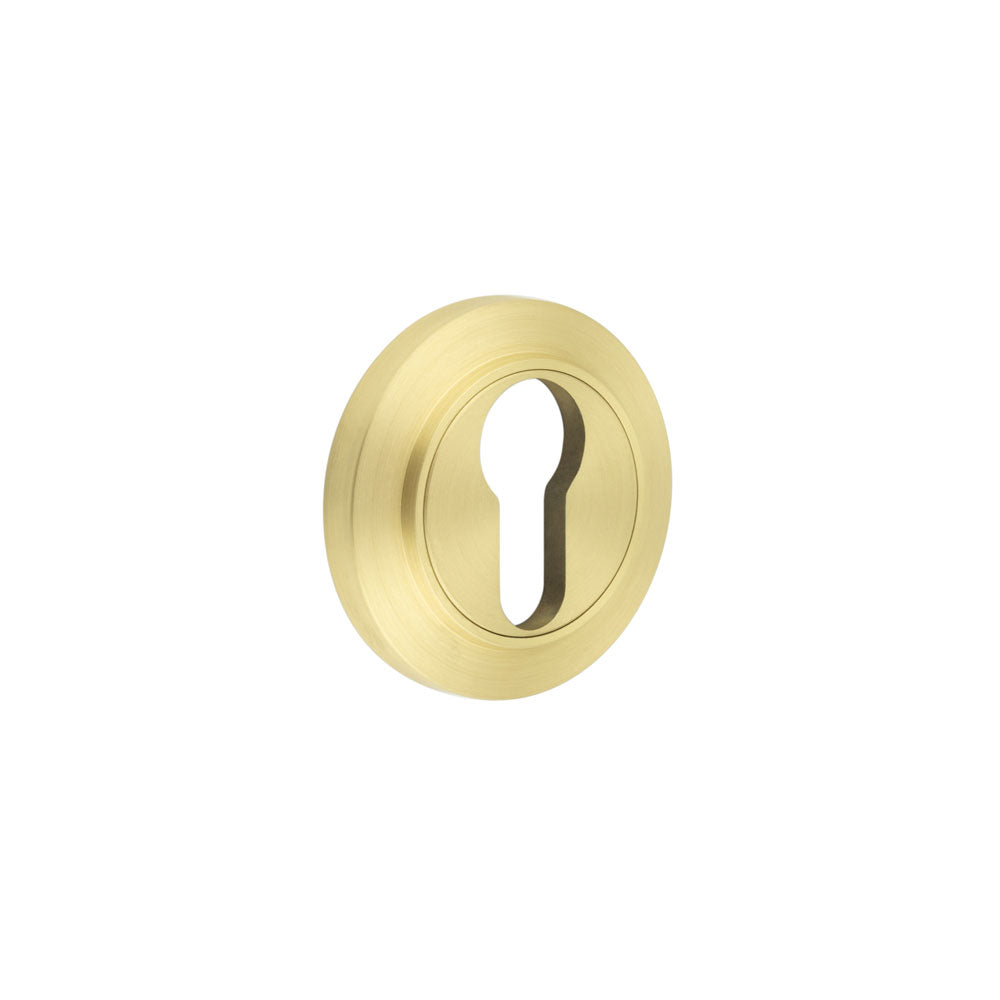 This is an image showing the Frelan - Burlington Euro Profile Escutcheons Chamfered Rose Satin Brass available to order from T.H. Wiggans Ironmongery in Kendal