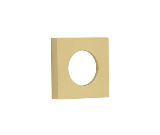 This is an image showing the Burlington - 52x52mm SB plain square outer rose for levers and t&r available to order from T.H. Wiggans Ironmongery in Kendal