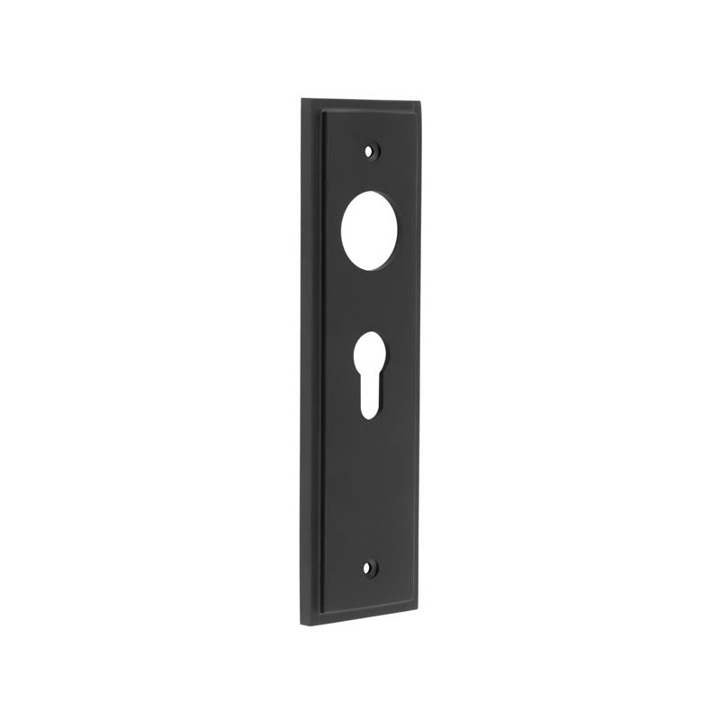 This is an image showing the Burlington - 200x55mm MB Euro 47.5mm C/C back plates for lever on rose available to order from T.H. Wiggans Ironmongery in Kendal