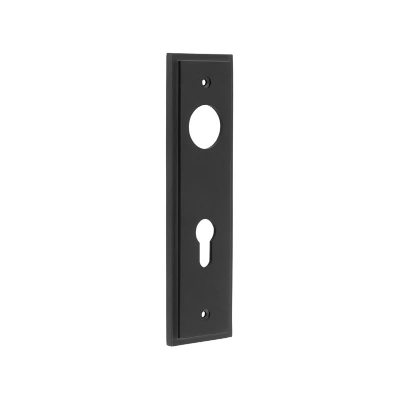 This is an image showing the Burlington - 200x55mm MB Euro 72mm C/C back plates for lever on rose available to order from T.H. Wiggans Ironmongery in Kendal