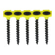 This is an image showing TIMCO Collated Drywall Screws - PH - Bugle - Coarse Thread - Black - 3.5 x 25 - 1000 Pieces Box available from T.H Wiggans Ironmongery in Kendal, quick delivery at discounted prices.