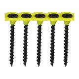 This is an image showing TIMCO Collated Drywall Screws - PH - Bugle - Coarse Thread - Black - 3.5 x 45 - 1000 Pieces Box available from T.H Wiggans Ironmongery in Kendal, quick delivery at discounted prices.