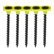 This is an image showing TIMCO Collated Drywall Screws - PH - Bugle - Coarse Thread - Black - 3.5 x 50 - 1000 Pieces Box available from T.H Wiggans Ironmongery in Kendal, quick delivery at discounted prices.