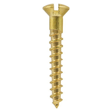 This is an image showing TIMCO Solid Brass Timber Screws - SLOT - Raised Countersunk - 8 x 2 - 200 Pieces Box available from T.H Wiggans Ironmongery in Kendal, quick delivery at discounted prices.