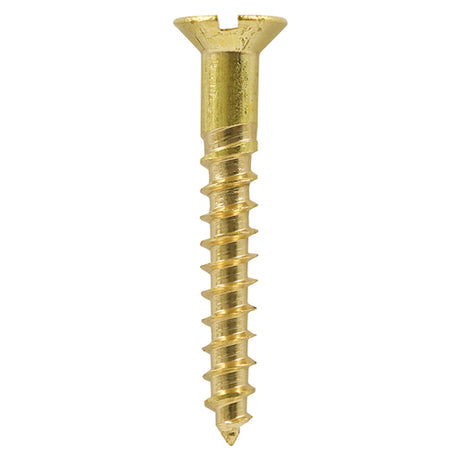 This is an image showing TIMCO Solid Brass Timber Screws - SLOT - Countersunk - 10 x 2 - 100 Pieces Box available from T.H Wiggans Ironmongery in Kendal, quick delivery at discounted prices.