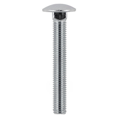 This is an image showing TIMCO Carriage Bolts - A2 Stainless Steel - M6 x 100 - 10 Pieces Bag available from T.H Wiggans Ironmongery in Kendal, quick delivery at discounted prices.