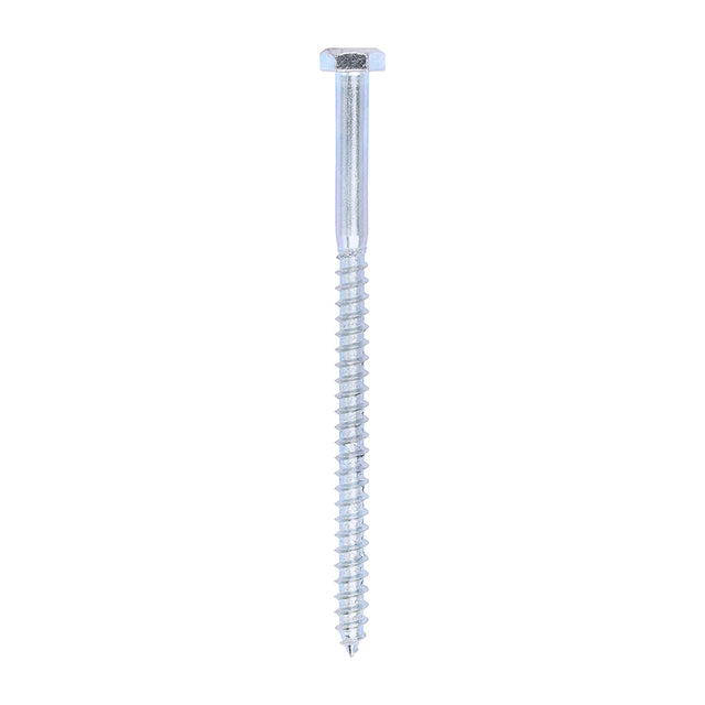 This is an image showing TIMCO Coach Screws - Hex - Zinc - 6.0 x 100 - 200 Pieces Box available from T.H Wiggans Ironmongery in Kendal, quick delivery at discounted prices.