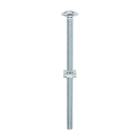 This is an image showing TIMCO Roofing Bolts with Square Nuts - Zinc - M6 x 100 - 100 Pieces Box available from T.H Wiggans Ironmongery in Kendal, quick delivery at discounted prices.