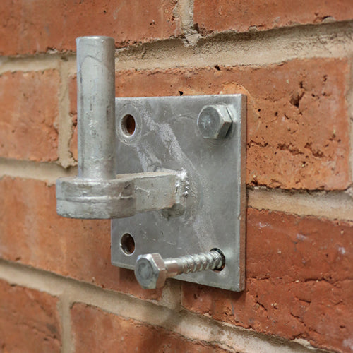 This is an image showing TIMCO Coach Screw & Nylon Plugs - Zinc - 6.0 x 80 - 2 Pieces TIMpac available from T.H Wiggans Ironmongery in Kendal, quick delivery at discounted prices.