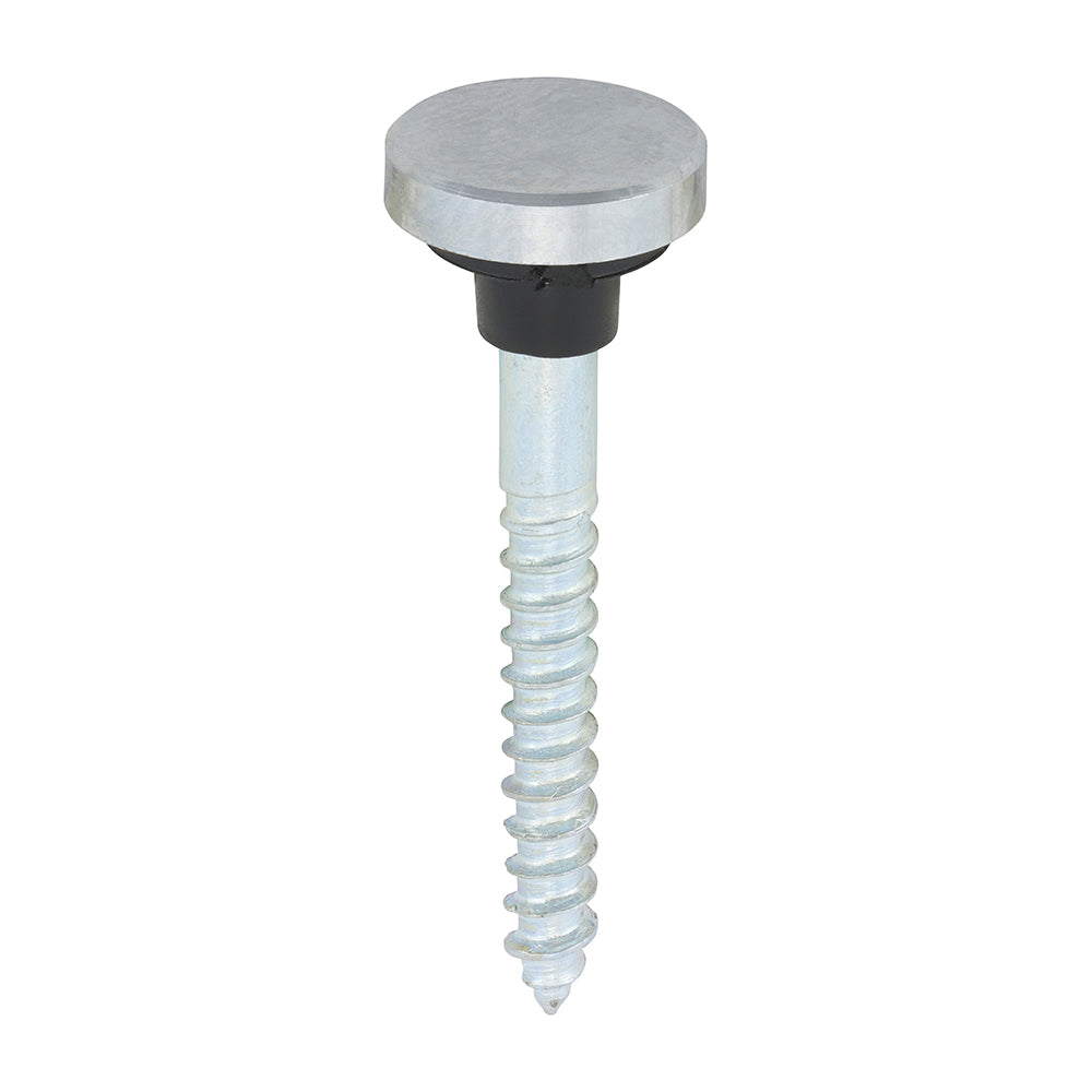 This is an image showing TIMCO Mirror Screws - Zinc - Chrome Flat - 8 x 1 1/2 - 8 Pieces TIMpac available from T.H Wiggans Ironmongery in Kendal, quick delivery at discounted prices.