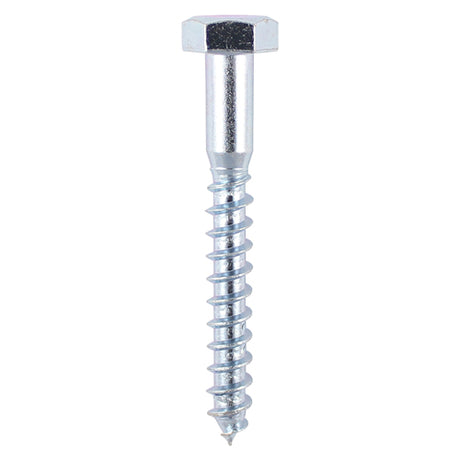 This is an image showing TIMCO Coach Screws - Hex - Zinc - 10.0 x 100 - 2 Pieces TIMpac available from T.H Wiggans Ironmongery in Kendal, quick delivery at discounted prices.