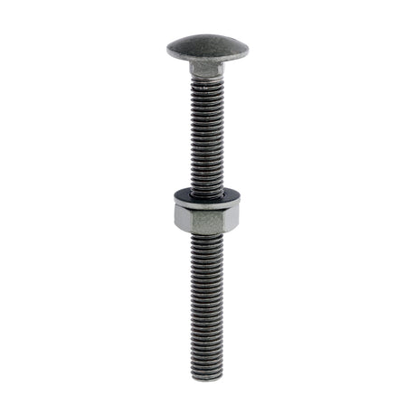 This is an image showing TIMCO Carriage Bolts Hex Nuts & Form A Washers - Dome - Exterior - Green - M10 x 100 - 10 Pieces Bag available from T.H Wiggans Ironmongery in Kendal, quick delivery at discounted prices.
