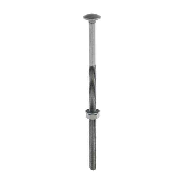 This is an image showing TIMCO Carriage Bolts Hex Nuts & Form A Washers - Dome - Exterior - Green - M10 x 220 - 10 Pieces Bag available from T.H Wiggans Ironmongery in Kendal, quick delivery at discounted prices.