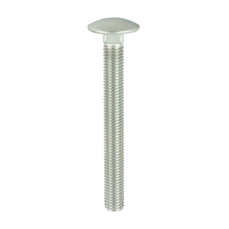 This is an image showing TIMCO Carriage Bolts - Stainless Steel - M10 x 75 - 50 Pieces Box available from T.H Wiggans Ironmongery in Kendal, quick delivery at discounted prices.