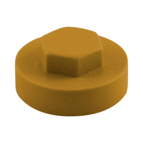 This is an image showing TIMCO Hex Head Cover Caps - Aztec - 16mm - 1000 Pieces Bag available from T.H Wiggans Ironmongery in Kendal, quick delivery at discounted prices.