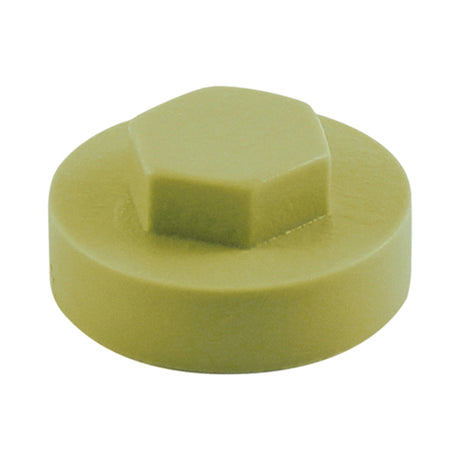 This is an image showing TIMCO Hex Head Cover Caps - Moorland Green - 16mm - 1000 Pieces Bag available from T.H Wiggans Ironmongery in Kendal, quick delivery at discounted prices.