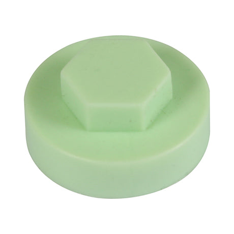 This is an image showing TIMCO Hex Head Cover Caps - Eau de Nil - 16mm - 1000 Pieces Bag available from T.H Wiggans Ironmongery in Kendal, quick delivery at discounted prices.