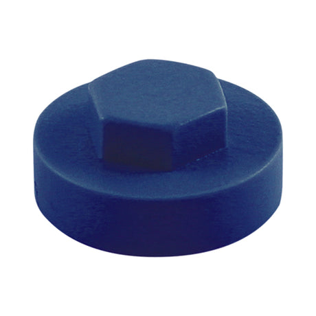 This is an image showing TIMCO Hex Head Cover Caps - Sargasso - 16mm - 1000 Pieces Bag available from T.H Wiggans Ironmongery in Kendal, quick delivery at discounted prices.