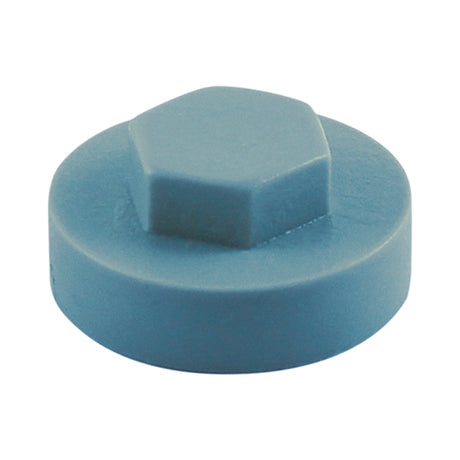 This is an image showing TIMCO Hex Head Cover Caps - Squirrel - 16mm - 1000 Pieces Bag available from T.H Wiggans Ironmongery in Kendal, quick delivery at discounted prices.