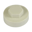 This is an image showing TIMCO Hex Head Cover Caps - Hamlet - 16mm - 1000 Pieces Bag available from T.H Wiggans Ironmongery in Kendal, quick delivery at discounted prices.