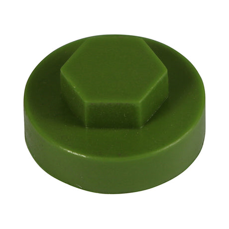 This is an image showing TIMCO Hex Head Cover Caps - Sage - 19mm - 1000 Pieces Bag available from T.H Wiggans Ironmongery in Kendal, quick delivery at discounted prices.