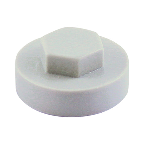 This is an image showing TIMCO Hex Head Cover Caps - Albatross - 19mm - 1000 Pieces Bag available from T.H Wiggans Ironmongery in Kendal, quick delivery at discounted prices.