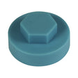 This is an image showing TIMCO Hex Head Cover Caps - Wedgewood Blue - 19mm - 1000 Pieces Bag available from T.H Wiggans Ironmongery in Kendal, quick delivery at discounted prices.