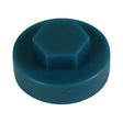 This is an image showing TIMCO Hex Head Cover Caps - Ocean Blue - 19mm - 1000 Pieces Bag available from T.H Wiggans Ironmongery in Kendal, quick delivery at discounted prices.