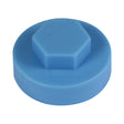 This is an image showing TIMCO Hex Head Cover Caps - Cornflower - 19mm - 1000 Pieces Bag available from T.H Wiggans Ironmongery in Kendal, quick delivery at discounted prices.