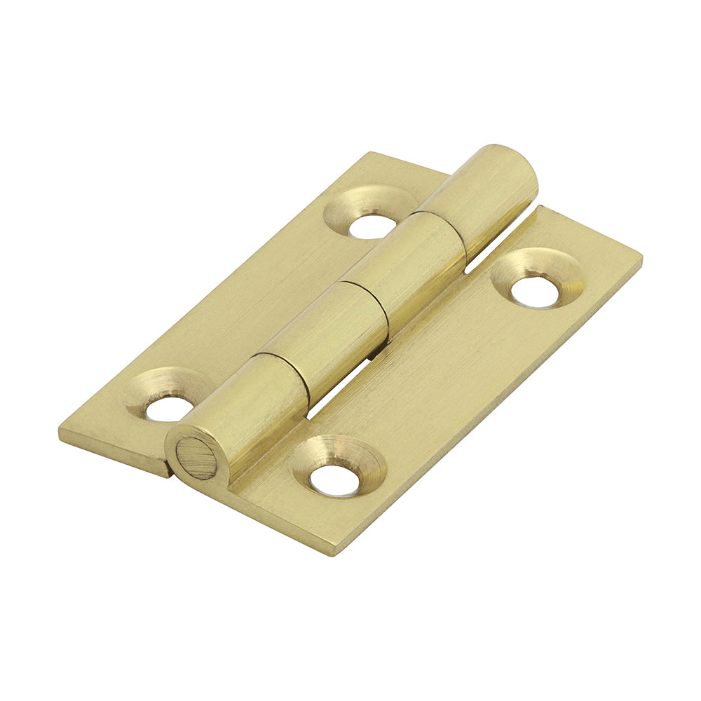 This is an image showing TIMCO Solid Drawn Hinge - Solid Brass - Polished Brass - 38 x 22 - 2 Pieces Bag available from T.H Wiggans Ironmongery in Kendal, quick delivery at discounted prices.