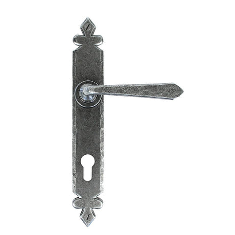 This is an image of From The Anvil - Pewter Cromwell Lever Espag. Lock Set available to order from T.H Wiggans Architectural Ironmongery in Kendal, quick delivery and discounted prices.