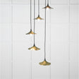 This is an image showing From The Anvil - Smooth Nickel Flora Cluster Pendant in Heath available from T.H Wiggans Architectural Ironmongery in Kendal, quick delivery and discounted prices
