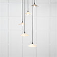 This is an image showing From The Anvil - Smooth Nickel Flora Cluster Pendant in Teasel available from T.H Wiggans Architectural Ironmongery in Kendal, quick delivery and discounted prices