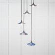 This is an image showing From The Anvil - Smooth Nickel Flora Cluster Pendant in Upstream available from T.H Wiggans Architectural Ironmongery in Kendal, quick delivery and discounted prices