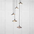 This is an image showing From The Anvil - Smooth Brass Flora Cluster Pendant in Slate available from T.H Wiggans Architectural Ironmongery in Kendal, quick delivery and discounted prices