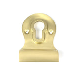 This is an image showing From The Anvil - Satin Brass Euro Door Pull available from trade door handles, quick delivery and discounted prices