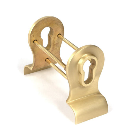 This is an image of From The Anvil - Satin Brass 50mm Euro Door Pull (Back to Back fixings) available to order from T.H Wiggans Architectural Ironmongery in Kendal, quick delivery and discounted prices.