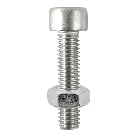 This is an image showing TIMCO Socket Screws & Hex Nuts - Cap - Stainless Steel - M6 x 20 - 8 Pieces TIMpac available from T.H Wiggans Ironmongery in Kendal, quick delivery at discounted prices.