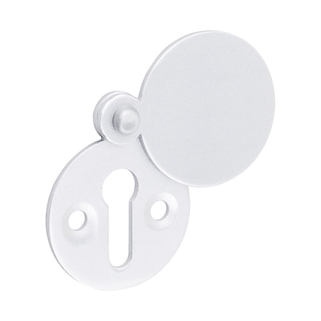 This is an image showing TIMCO Covered Escutcheon - Satin Anodised Aluminium - 38mm - 2 Pieces Bag available from T.H Wiggans Ironmongery in Kendal, quick delivery at discounted prices.