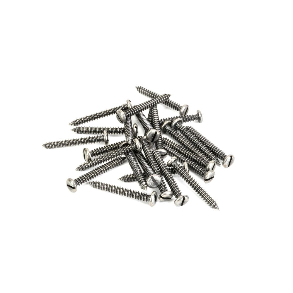 This is an image showing From The Anvil - Pewter 10x1?" Round Head Screws (25) available from T.H Wiggans Architectural Ironmongery in Kendal, quick delivery and discounted prices