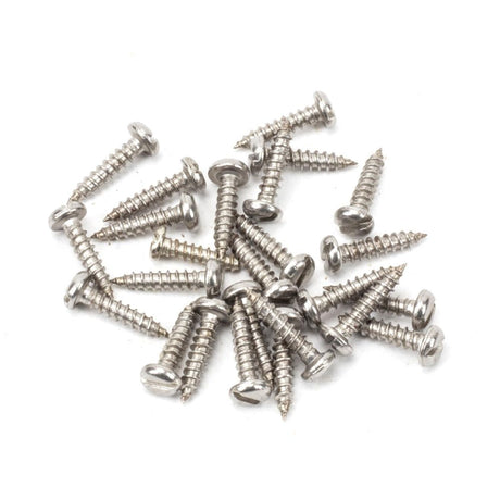 This is an image showing From The Anvil - Stainless Steel 4x?" Round Head Screws (25) available from T.H Wiggans Architectural Ironmongery in Kendal, quick delivery and discounted prices