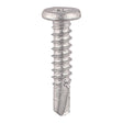 This is an image showing TIMCO Metal Construction Sheet & Framing Screws - PH - Low Profile Pancake - Exterior - Silver Organic - 5.5 x 19 - 500 Pieces Box available from T.H Wiggans Ironmongery in Kendal, quick delivery at discounted prices.