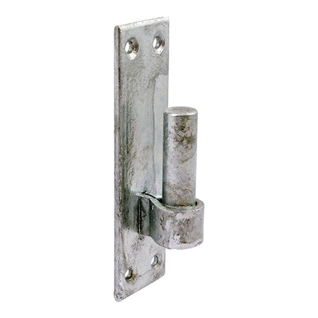 This is an image showing TIMCO Hook on Rectangular Plates - Hot Dipped Galvanised - 12mm - 2 Pieces Plain Bag available from T.H Wiggans Ironmongery in Kendal, quick delivery at discounted prices.