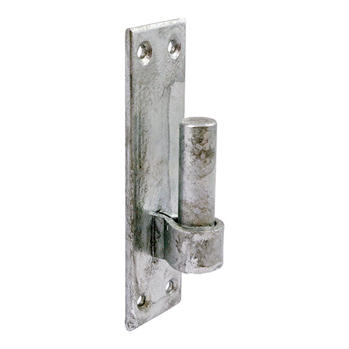 This is an image showing TIMCO Hook on Rectangular Plates - Hot Dipped Galvanised - 19mm - 2 Pieces Plain Bag available from T.H Wiggans Ironmongery in Kendal, quick delivery at discounted prices.
