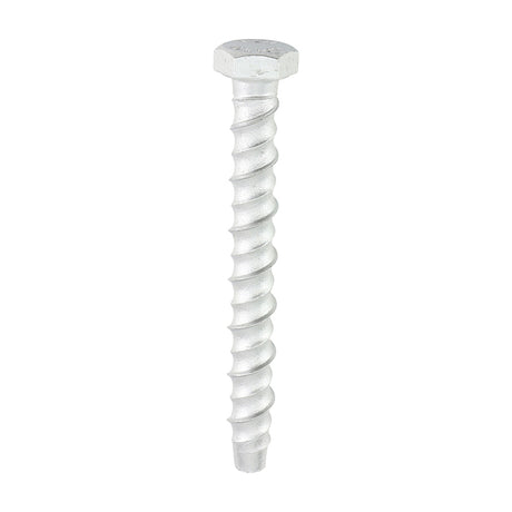 This is an image showing TIMCO Multi-Fix Masonry Bolts - Hex - Exterior - Silver - 10.0 x 100 - 50 Pieces Box available from T.H Wiggans Ironmongery in Kendal, quick delivery at discounted prices.