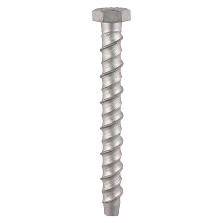 This is an image showing TIMCO Masonry Bolts - Hex - Exterior - Silver - 10.0 x 130 - 2 Pieces TIMpac available from T.H Wiggans Ironmongery in Kendal, quick delivery at discounted prices.